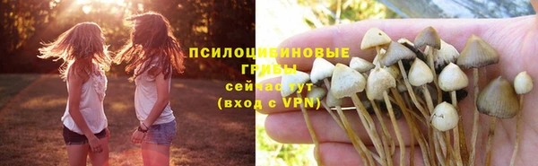 гидра Верхнеуральск