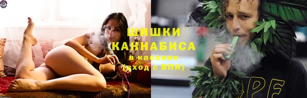 спайс Богородицк
