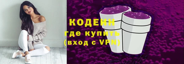 ГАЛЛЮЦИНОГЕННЫЕ ГРИБЫ Верея