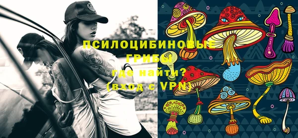ГАЛЛЮЦИНОГЕННЫЕ ГРИБЫ Верея