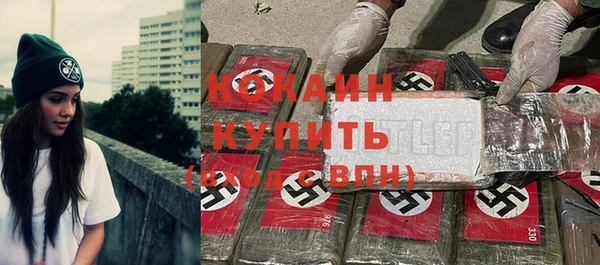 ГАЛЛЮЦИНОГЕННЫЕ ГРИБЫ Верея