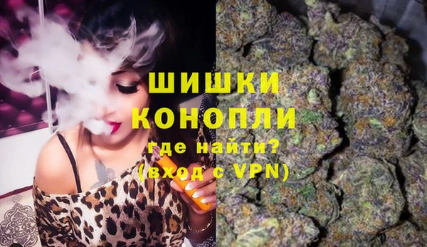 ГАЛЛЮЦИНОГЕННЫЕ ГРИБЫ Верея